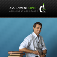 Assignment Expert